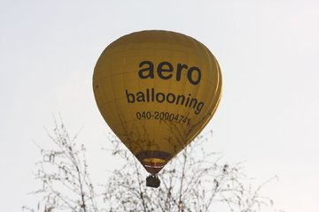Bild 88 - 2010